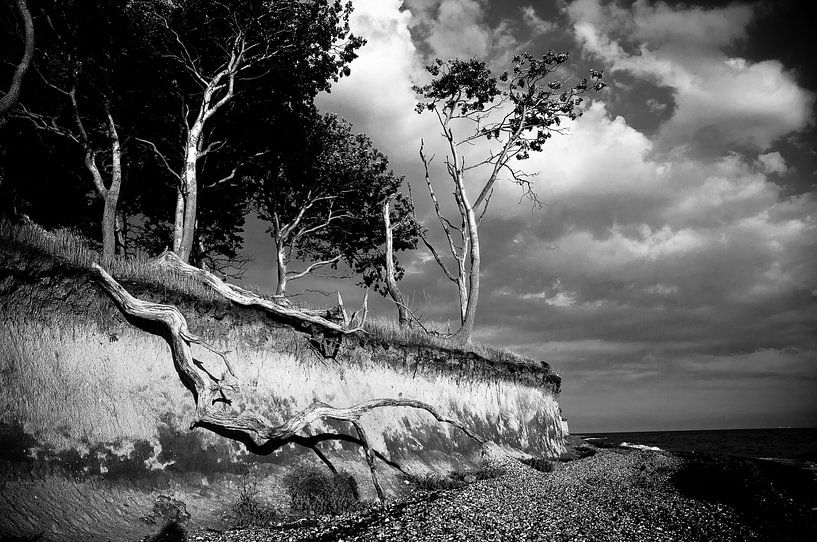 Ramification by Sonja Pixels