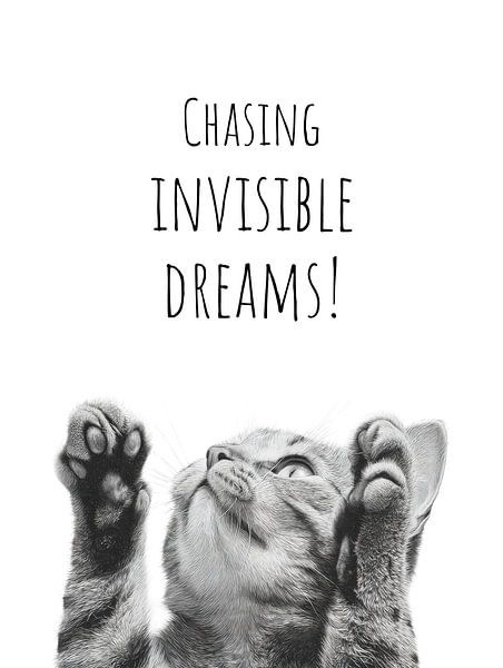 Cool Cat - Dreamer by Melanie Viola