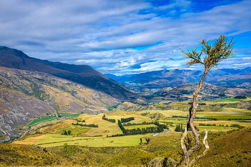 Lake County, Südinsel, Neuseeland von Rietje Bulthuis