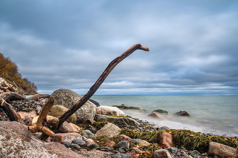 Ostseeküste auf der Insel Moen in Dänemark von Rico Ködder