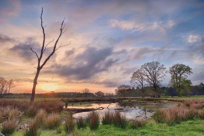 Ven in Drenthe bei Sonnenuntergang von John Leeninga