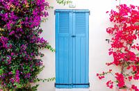 De blauwe deur met Bougainvillea