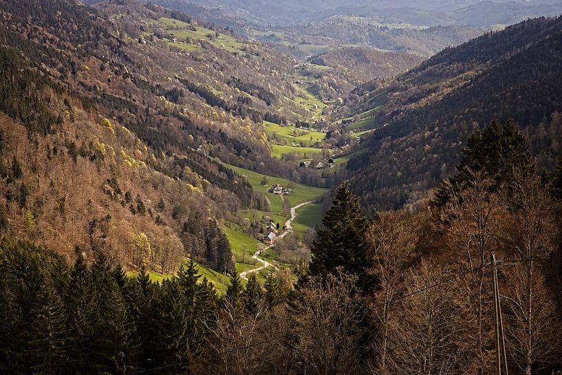 Val Dargent in den Vogesen bei Sainte Marie aux Mines von Rob Boon
