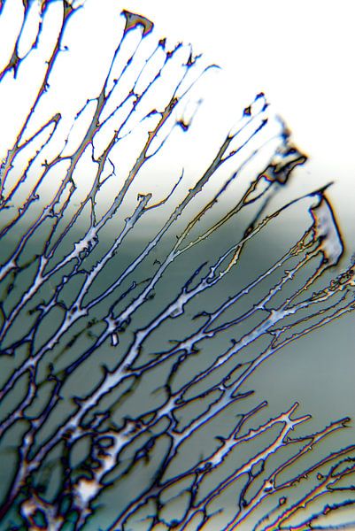 Abstractie van Ding #004b par Peter Baak