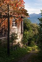Herbstfarben in der Zentralschweiz
