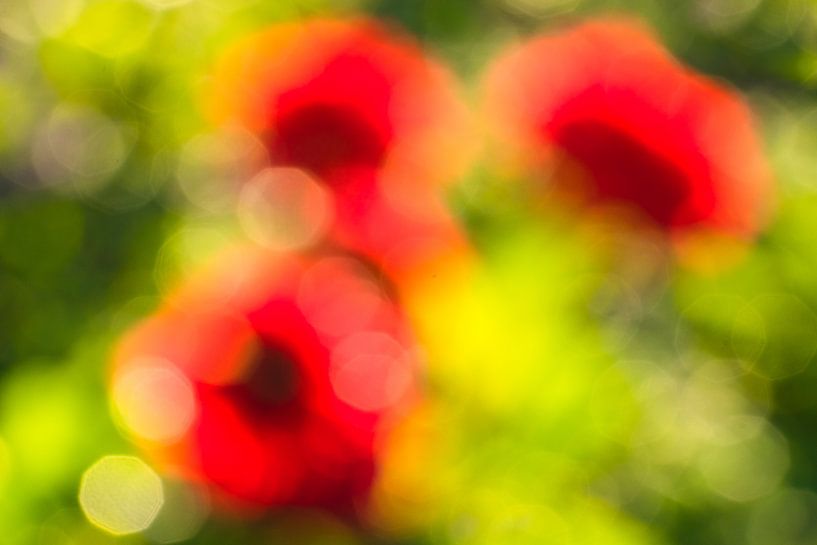 Dahlienblüte abstrakt (2) par Monika Scheurer