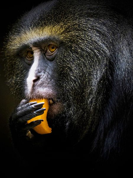 Abendbrotzeit von thomas van puymbroeck