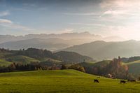 Appenzellerland mit Blick zum Säntis, Schweiz