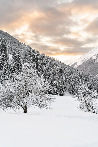 Winterlandschaft Ischgl Sonnenuntergang von Xulé Bogers