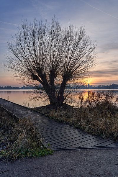 Kralingse Bos Rotterdam by EdsCaptures fotografie