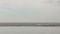 A row of poles as a breakwater in the tidal flats at high tide 1