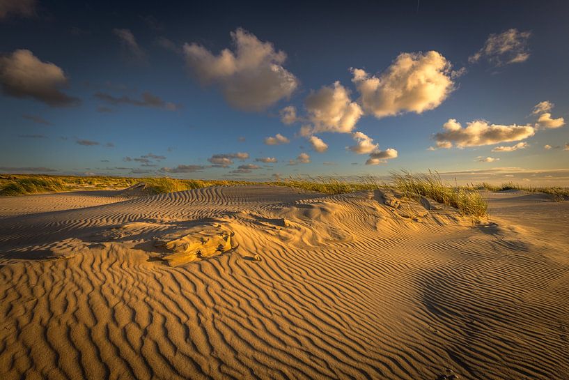 Abendlicht auf Texel in den Dünen von Andy Luberti