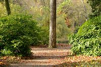 Julianapark à Utrecht en automne