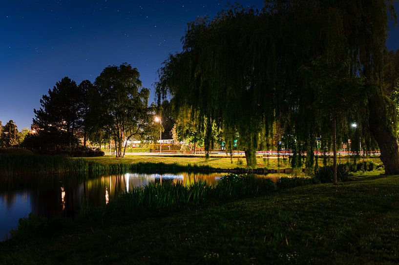 Piece of nature next to the Good Shepherd Church in Ridderkerk by Rens Bok