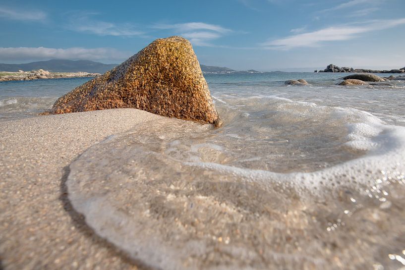 Rots in de branding von Jeroen Kleverwal