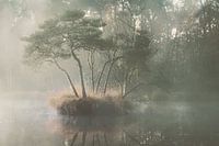 November Islet (Diaconateven)