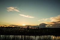 Die Unkrautbekämpfung