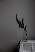 Still life fresh rosemary on water