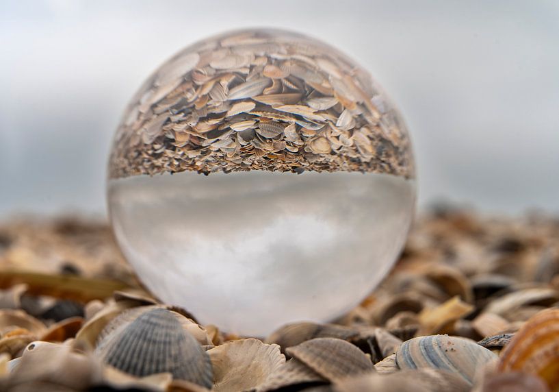 Glass ball in a pile of shells by Stephan Zaun