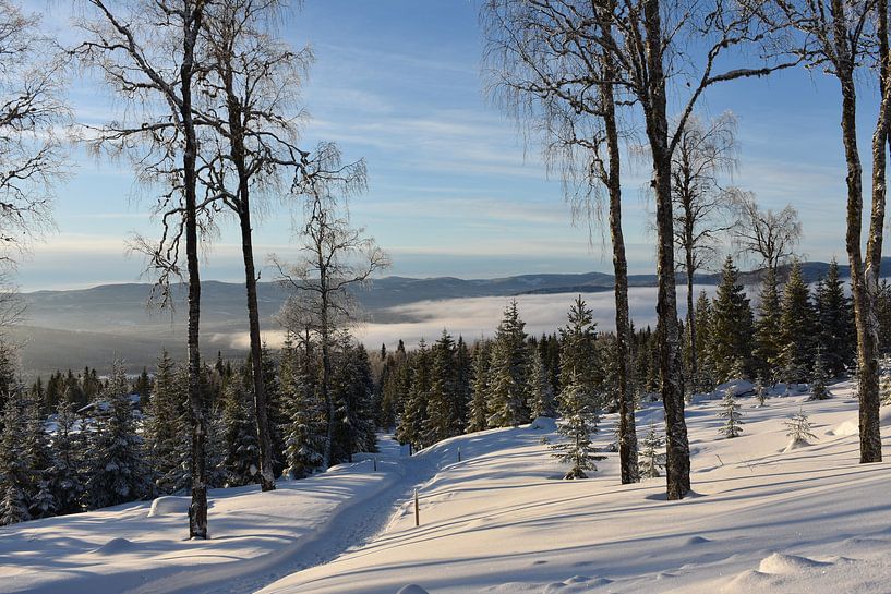 Schneelandschaft von M M