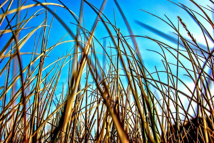 Sylt in de duinen van List van Norbert Sülzner