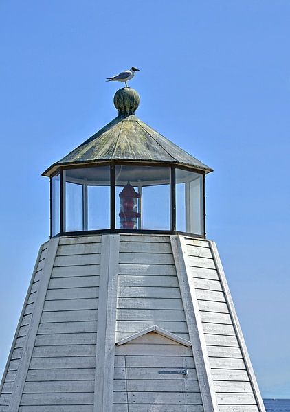 Möwe auf Leuchtturm van Peter Bergmann