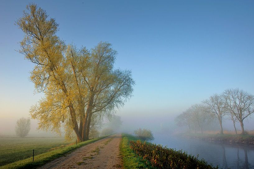 Hoenwaardsepad  von Willem van Leuveren Fotografie