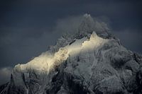 Olivia - The Final Cut