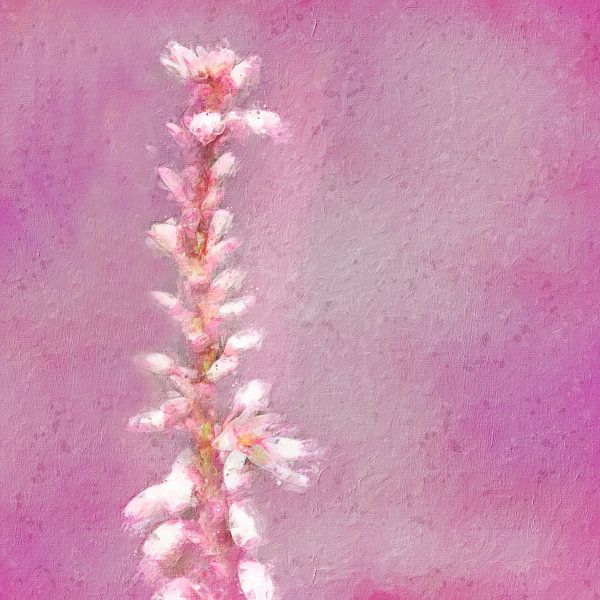 Duizendknoop (kunst, schilderij) von Art by Jeronimo