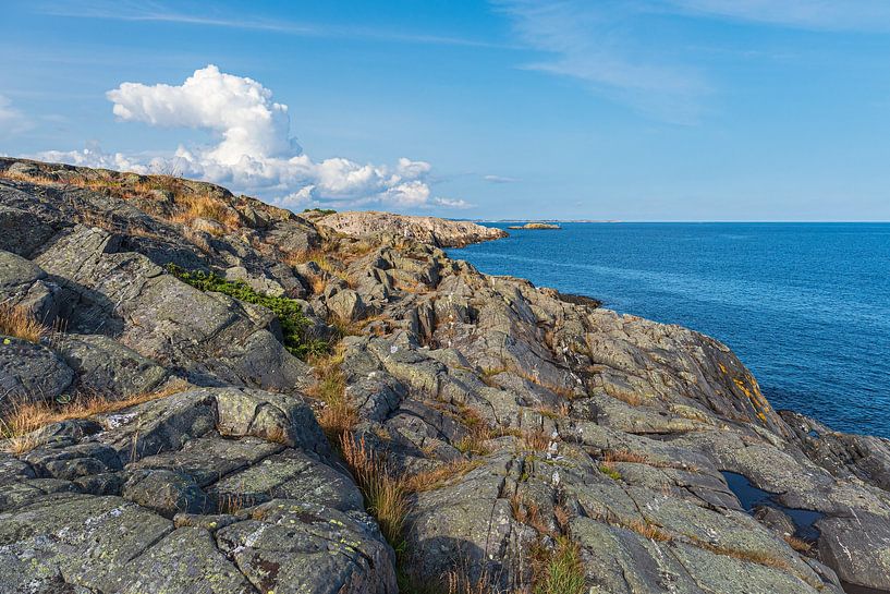 Landschaft mit Felsen im Naturreservat Bøkeskogen in Norwegen von Rico Ködder