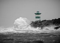 Le visage de la tempête Ciara