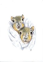 Hamster im Schlafrock