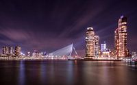 Rotterdam in der Nacht