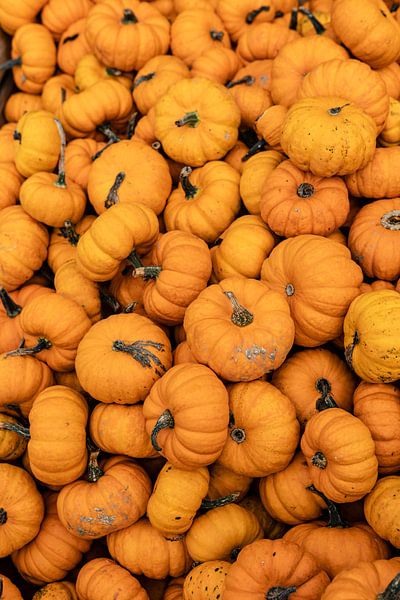 Si délicieux par Harald Schottner