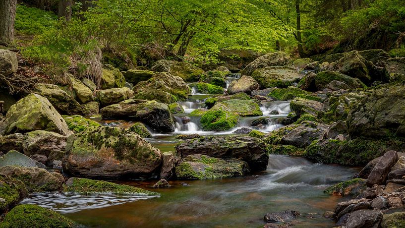 La Hoegne 1 von Geert Huyskens Photography
