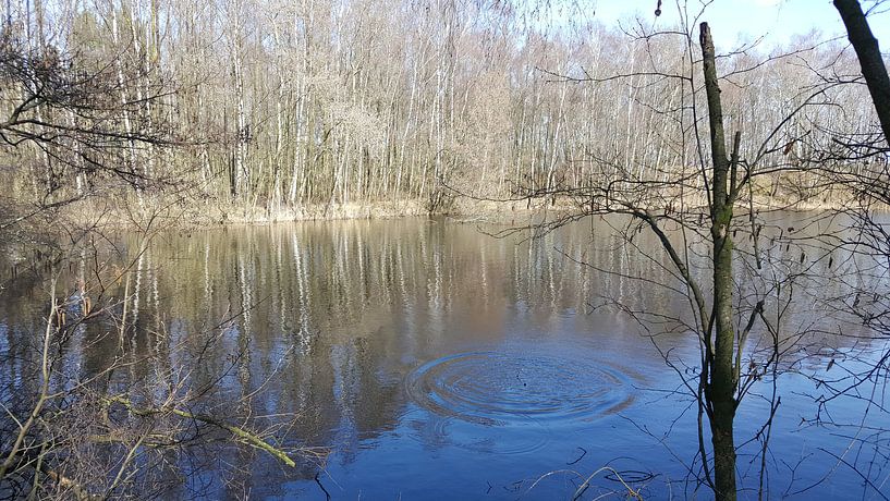 WINTER LAKE DROP von Ivanovic Arndts