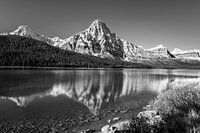 Panoramablick auf die kanadischen Rocky Mountains