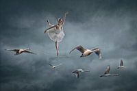 Swan Lake Ballerina