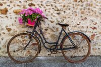 Altes Fahrrad mit Blumenkorb