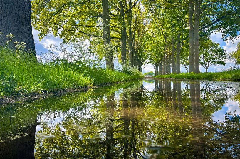 Spiegelweg by Jeroen Smit