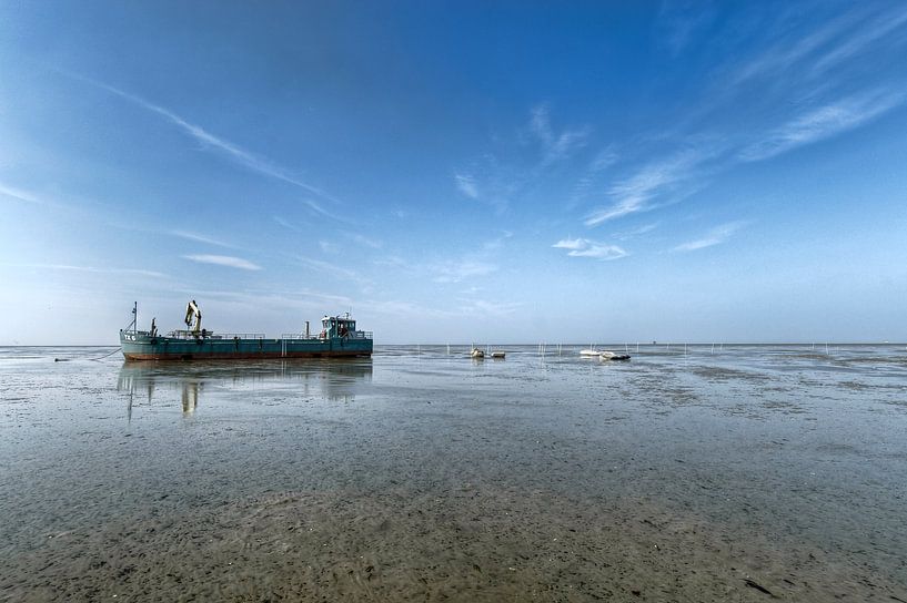 TX6 von Alex Boerema