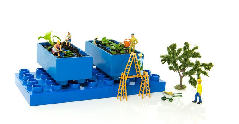 Miniaturen im Gemüsegarten von ChrisWillemsen