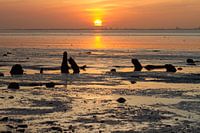 Bijna ten onder op het Wad