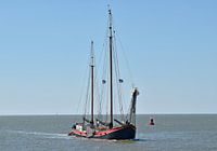 Het bruine vloot schip Aegir