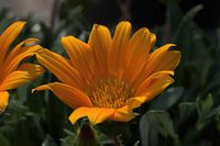 Beautifully striking!