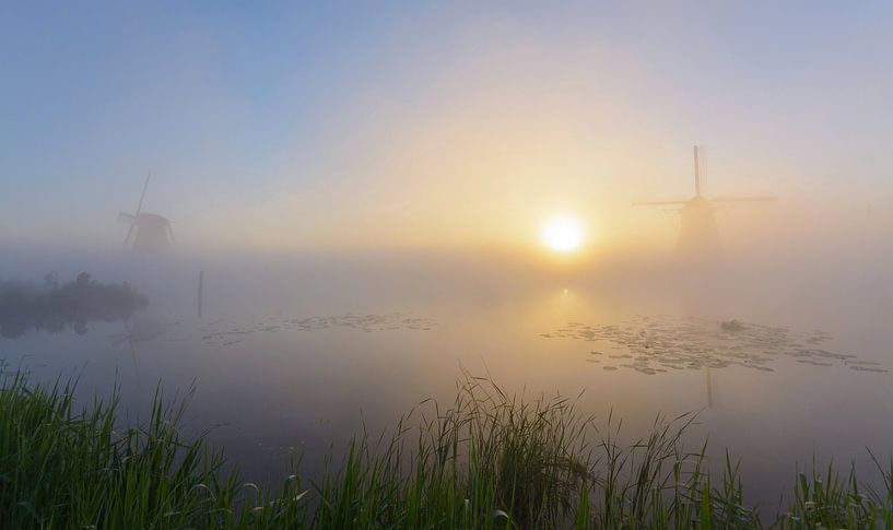 Kinderdeich vom Feinsten! von Remco Van Daalen