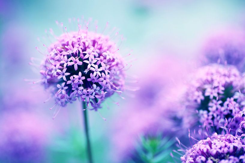 Sphère étincelante par Hiske Boon