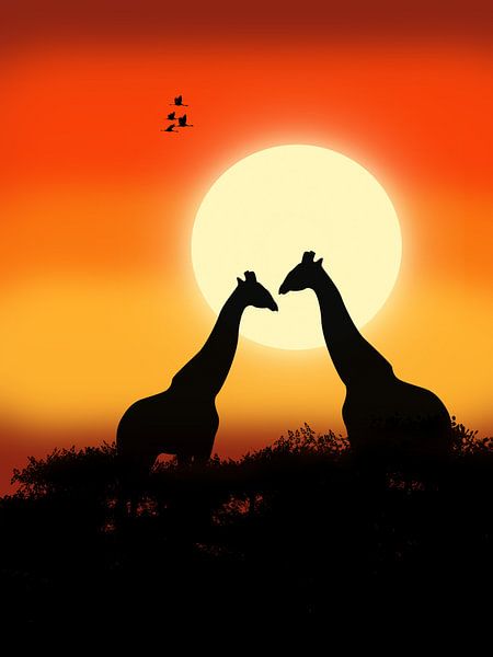 Giraffes at sunset by Lida Bruinen