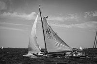 Skûtsje in mit Riff