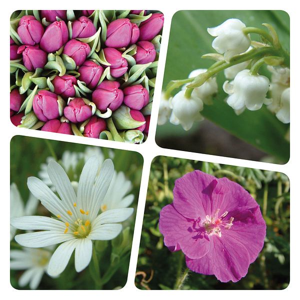 Flower collage lilac by Irene Polak